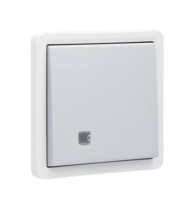 Niko Interrupteur à témoin bipolaire, étanche aux projections d'eau 10 AX/250 Vac avec hublot transparent et avec bornes à vis