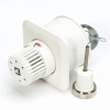 Begetube thermostat avec commande à distance 5m type 3000 encastrable - 180021500