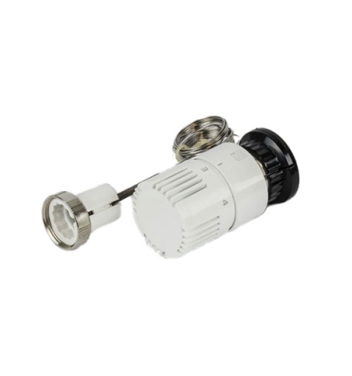 Begetube thermostat avec commande à distance 2m type 4000 - mural - 180622200