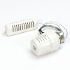 Begetube thermostat avec sonde à distance 2m type 5000 - 180330200