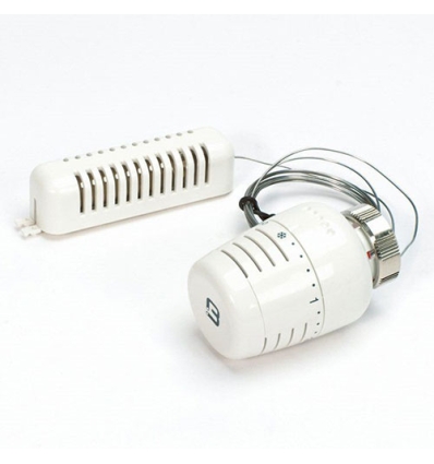 Begetube thermostat avec sonde à distance 5m type 5000 - 180330500