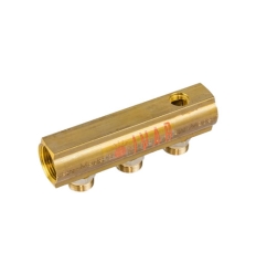 Begetube Ø1" + 3xM24 + 3/8"P collector 1" avec nipples prémontés avec purge 3/8" - 200101803