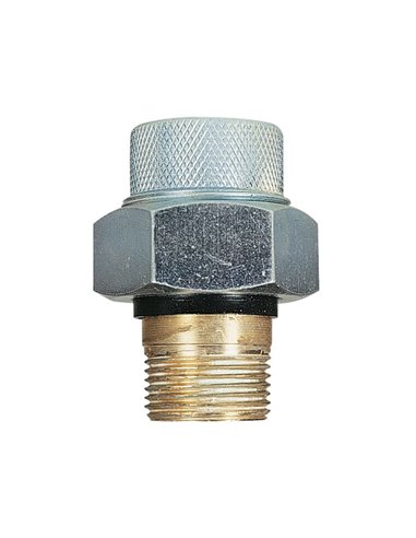 Watts 3015 raccord électrolyse MF 3/4 x 3/4 - 1824332